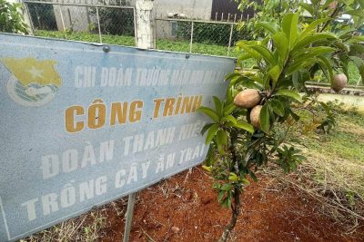 🌿💚 NGÀY THỨ SÁU XANH – CHUNG TAY VÌ MÔI TRƯỜNG XANH SẠCH ĐẸP 💚🌿